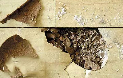 ľʼҾƻβӹϵķۣ