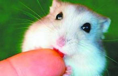 ҧϿ촦˿ڡ